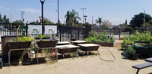 Community Gardens in Santa Ana